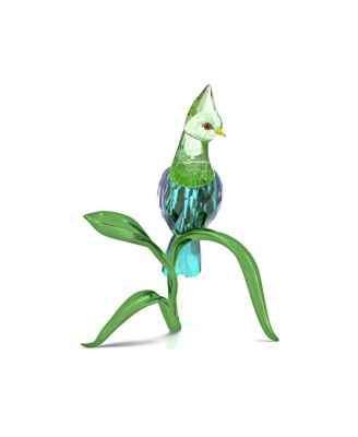 Idyllia Turaco Figurine