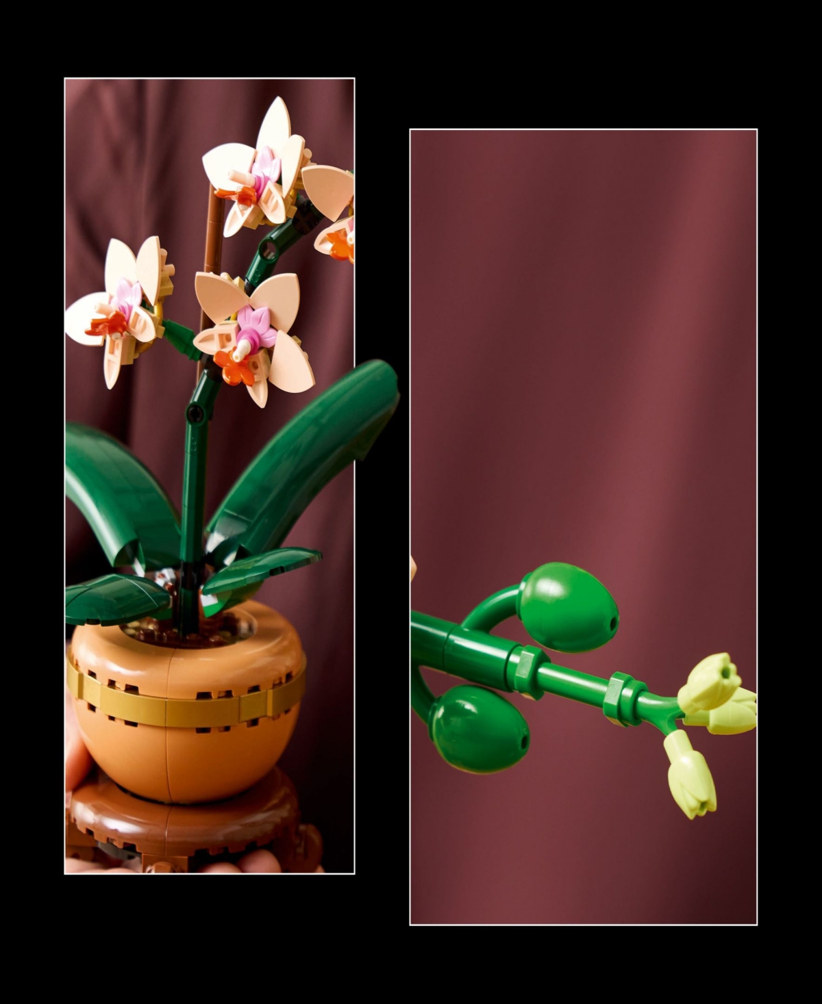 Lego Botanicals Mini Orchid Building Set 10343, 274 Pieces In Multi Color