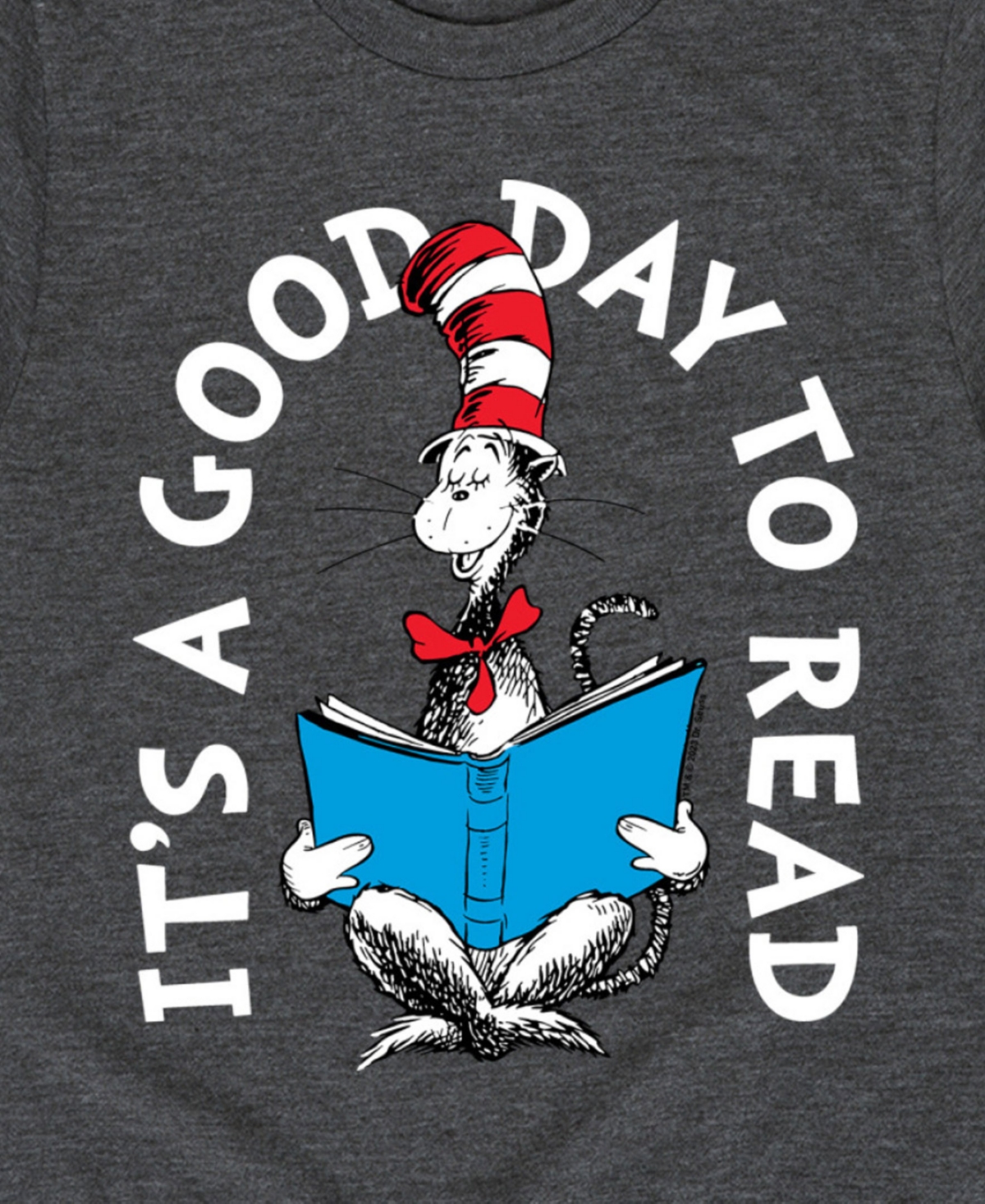 Hybrid Big Boys Dr. Seuss It's A Good Day To Read Graphic T-shirt In Gray