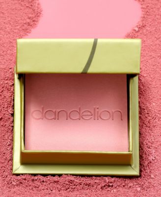 WANDERful World Silky-Soft Powder Blush