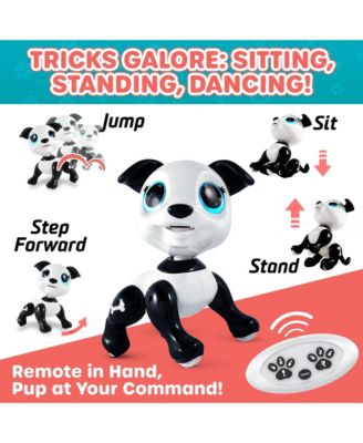 Robo Pets Puppy