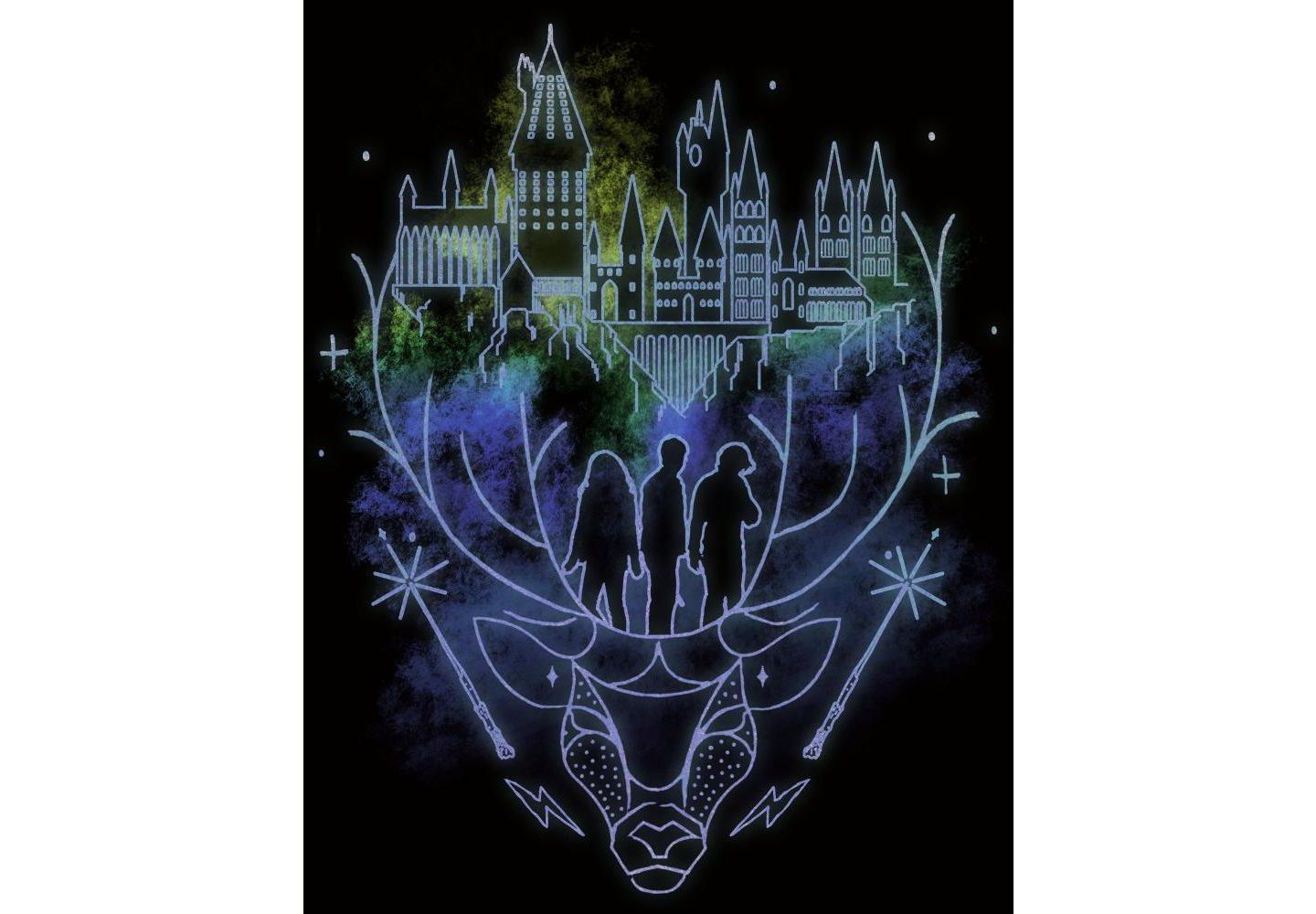 Мужская футболка Harry Potter Hogwarts Patronus Line Art Black T-shirt-Medium, цвет: Чёрный — фото 2