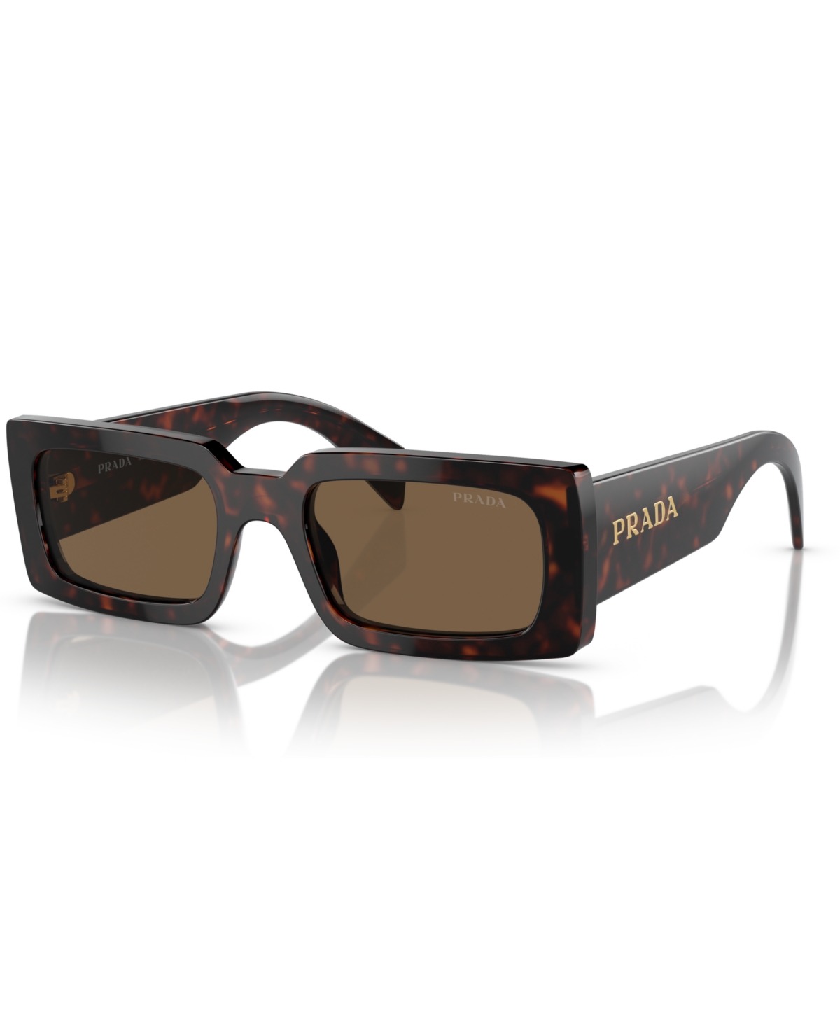 Prada Woman Sunglass Pr A07s In Briar Trotoise