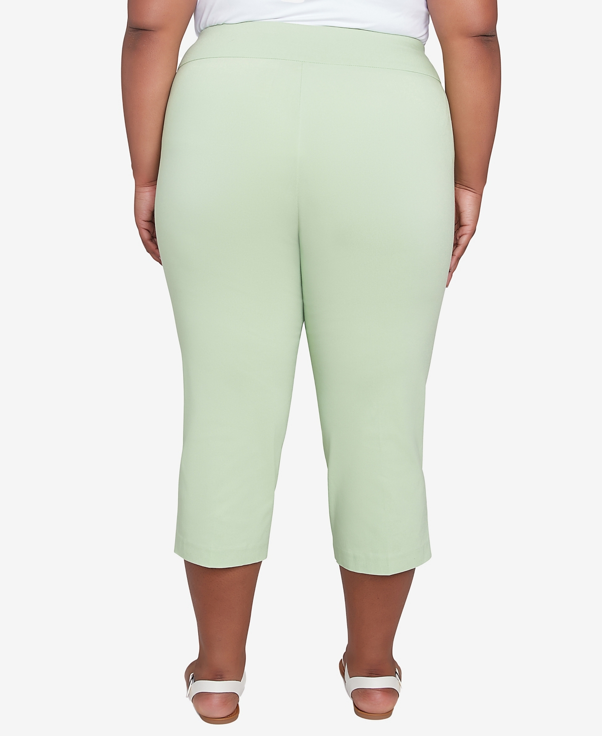 Hearts Of Palm Plus Size Solid Tech Stretch Pull On Pants In Light Green
