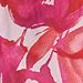 Hibiscus Mutli