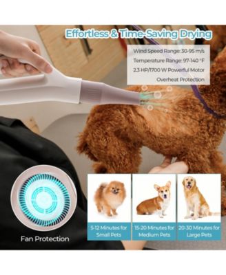 Dog Cat Hair Blower with Negative Ion Function and Adjustable Temperature