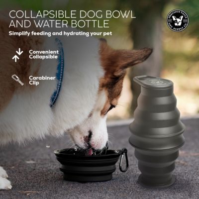 Feed N Sip 2-in-1 Collapsible Dog Bowl and Water Bottle, Portable Pet Feeding Solution for Travel