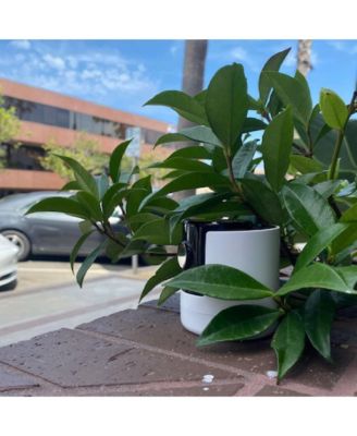 X1 355 Degree Stylish Motorized Camera