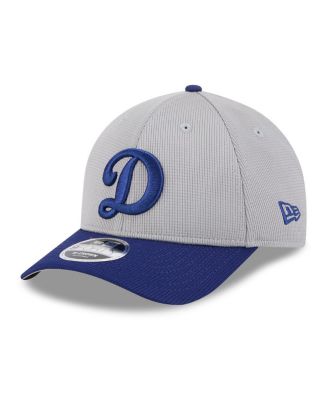 Men's Gray/Royal Los Angeles Dodgers 2025 Batting Practice 9FORTY M-Crown Adjustable Hat