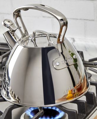 Stainless Steel Tea Kettle