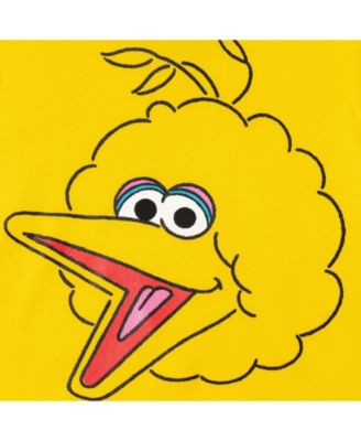 Baby Boys Fleece Pullover Hoodie