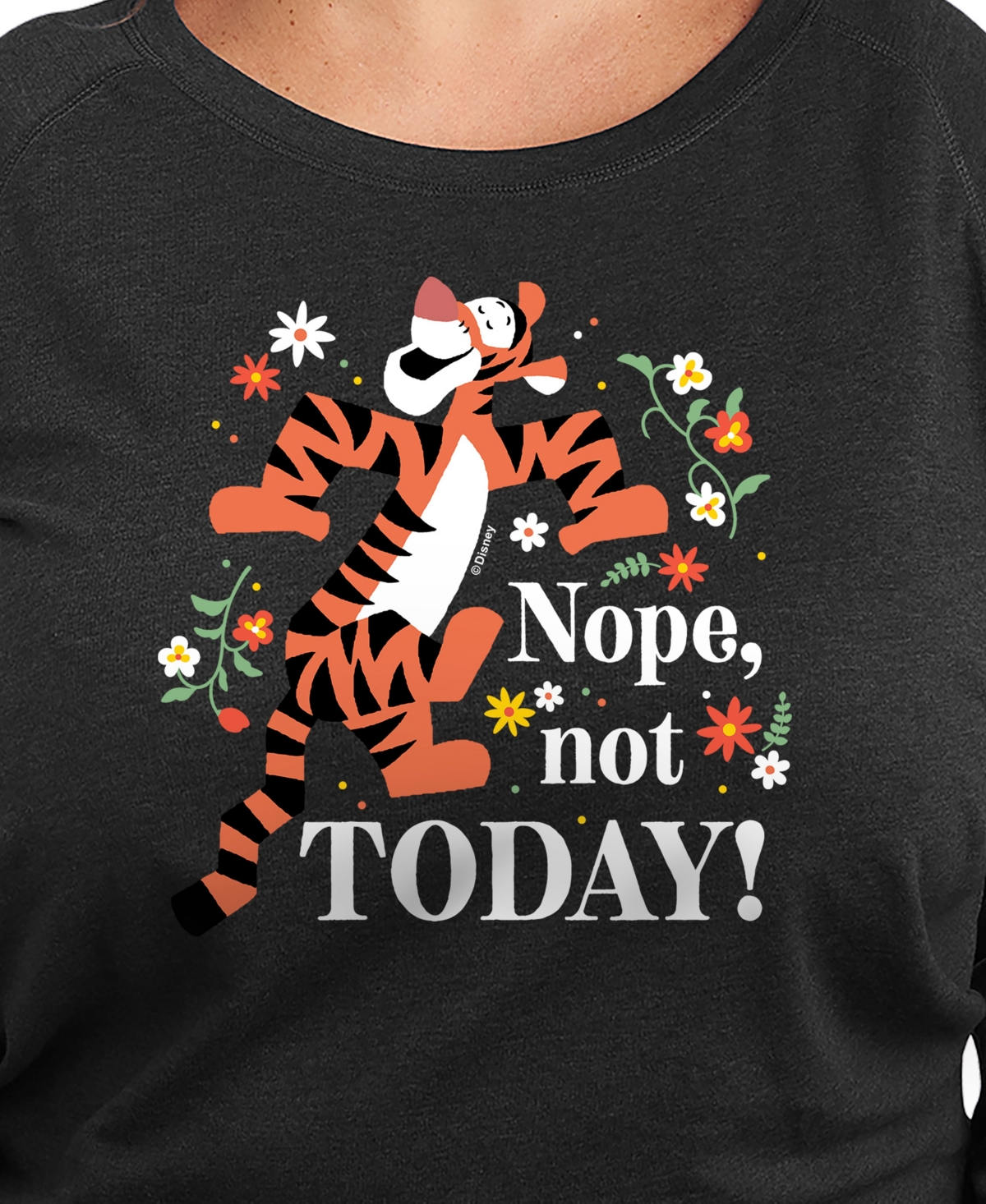 Hybrid Apparel Plus Size Winnie The Pooh Nope Not Today Graphic Pullover T-shirt In Black