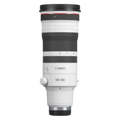 RF 100-300mm f/2.8 L IS USM Lens