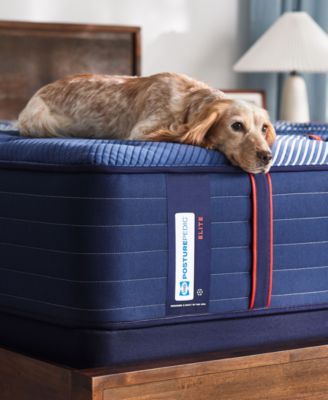 Sealy Posturepedic Elite Albany Ii 14 Firm Tight Top Mattress Collection In No Color