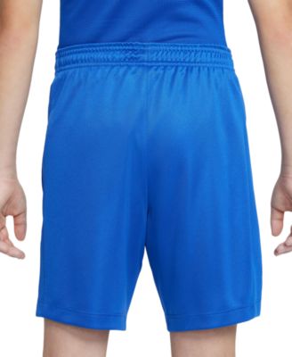Big Kids Trophy23 Dri-FIT Shorts