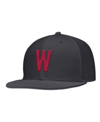 Nike - Men's Anthracite Washington State Cougars On-Field Baseball Performance Fitted Hat