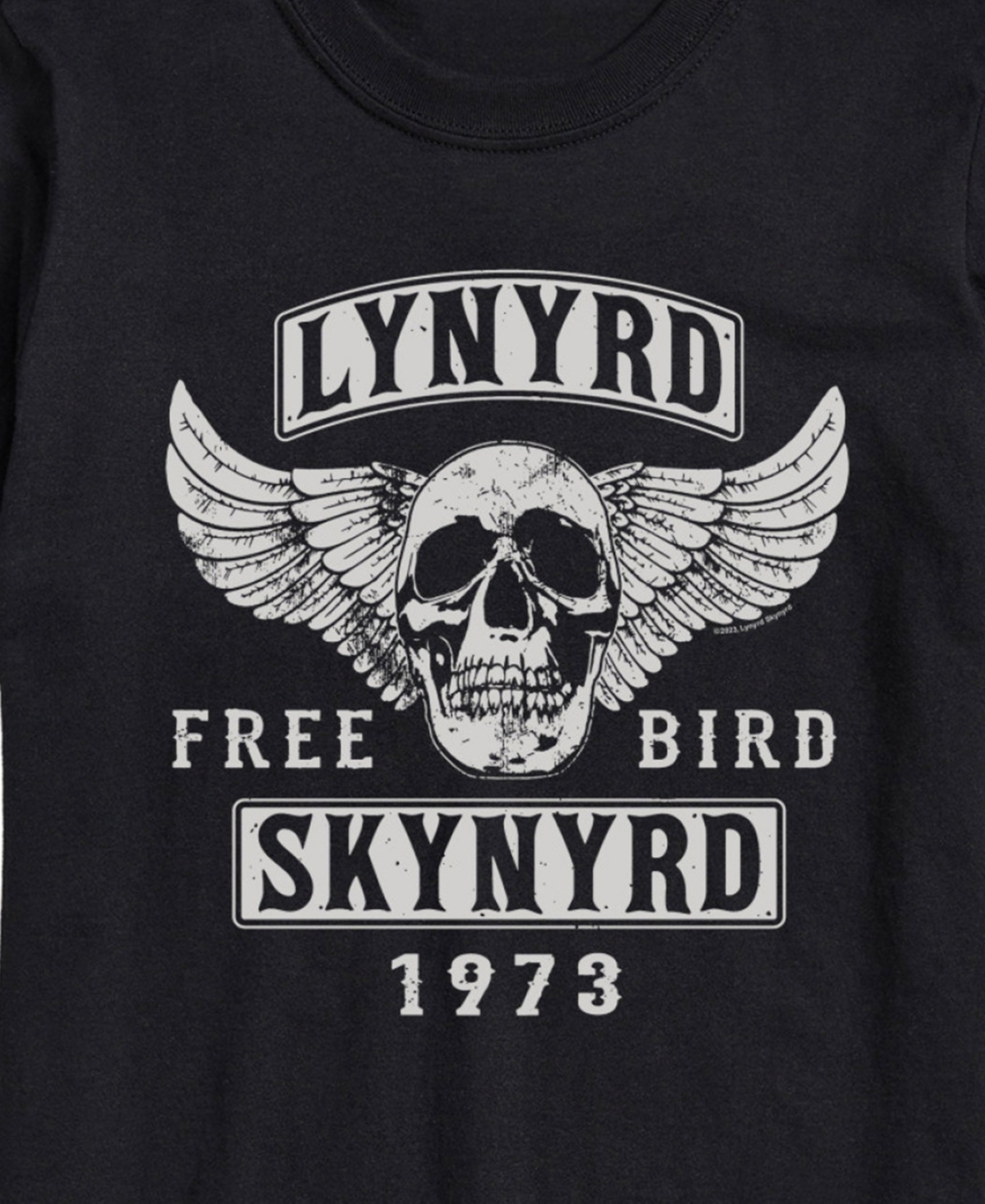 Airwaves Men's Lynyrd Skynyrd 1973 Short Sleeve T-shirt In Black