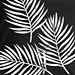 Black palms