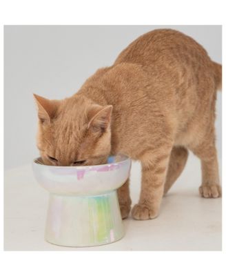 Elevated Cat Bowl: Iridescent