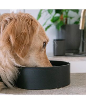 50oz Dog Bowl: Black