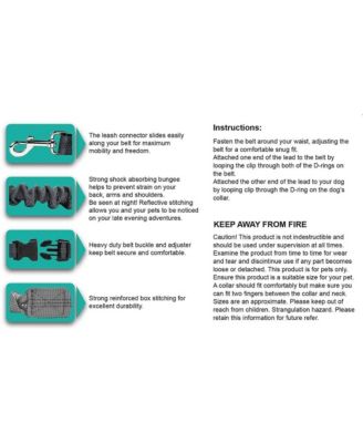 Hands Free Bungee Dog Leash - Green