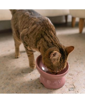 Elevated Cat Bowl: Ash Blush
