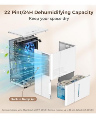 2500sq.ft Multifunctional Dehumidifier, 22-Pint, Drain Hose, Smart Humidity Ctrl