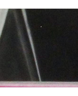 Square Plastic Planter Pot – Durable Indoor/Outdoor Flower Pot for Garden, Patio, or Balcony Use