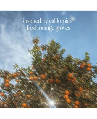 n,307 Eau De Parfum | Sunlit Grove | Mandarin and Sandalwood Fragrance