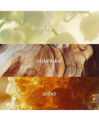 n,551 Eau De Parfum | Amber Sunset | Amber, Sandalwood Fragrance