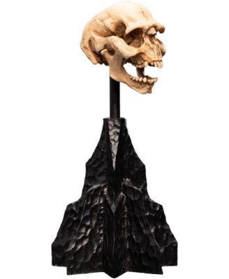 Polystone - The Lord of the Rings Trilogy - Skull of a Moria Orc Polystone Statue