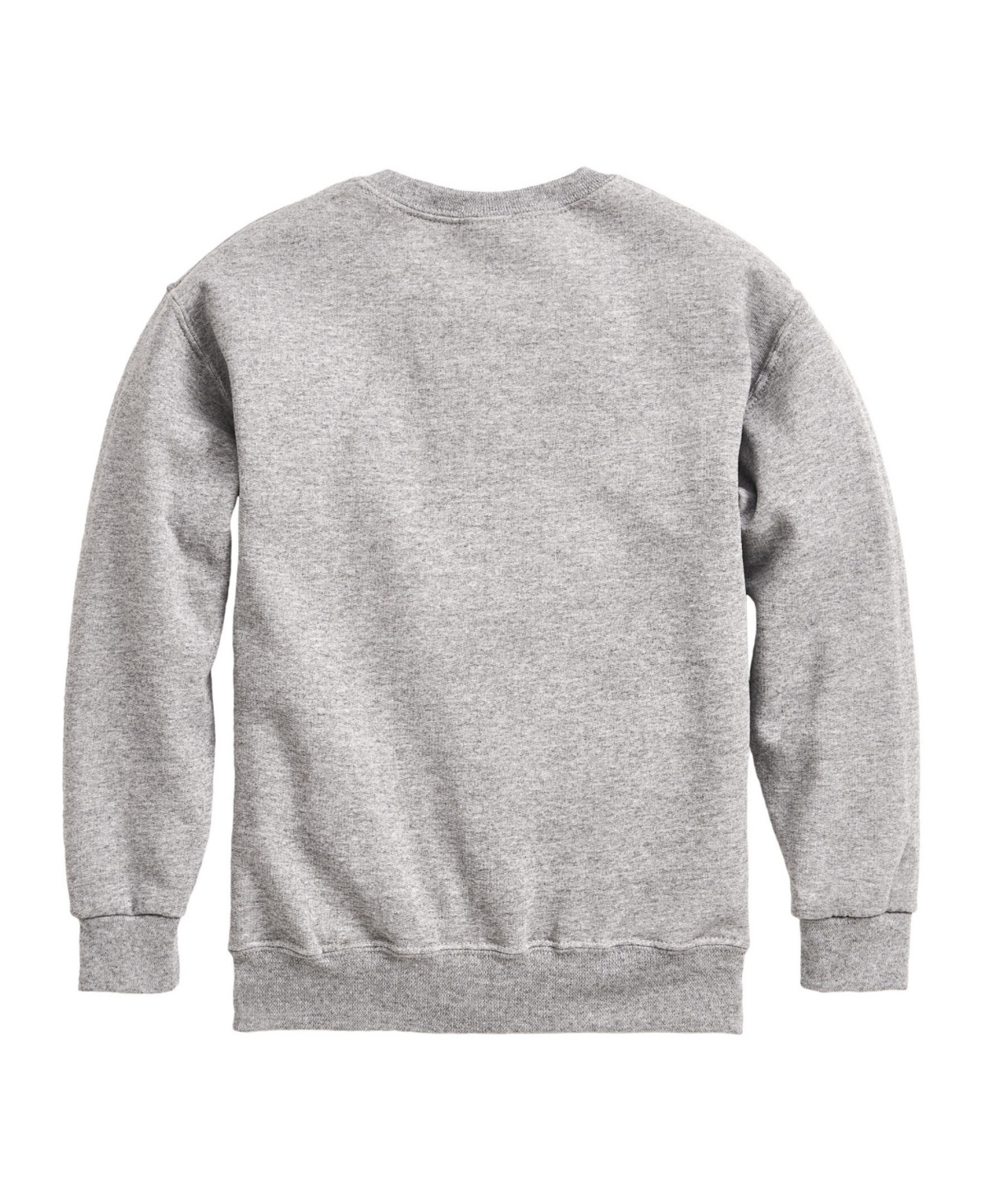 Hybrid Big Boys Happy Easter Dino Egg Graphic Fleece Sweatshirt In Gray