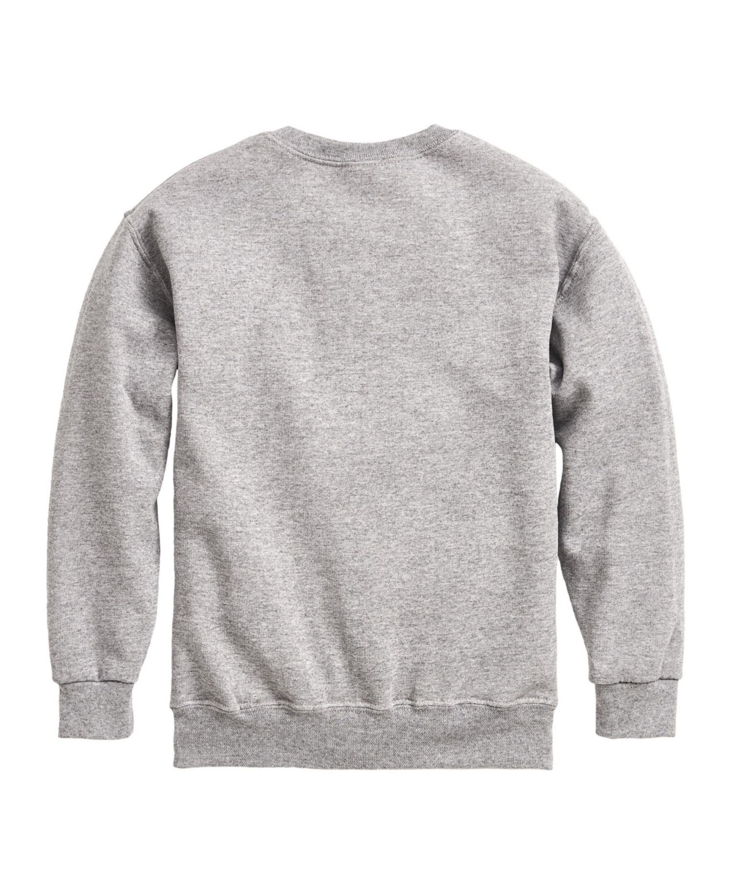 Big Boys Happy Easter Dino Egg Graphic Fleece Sweatshirt