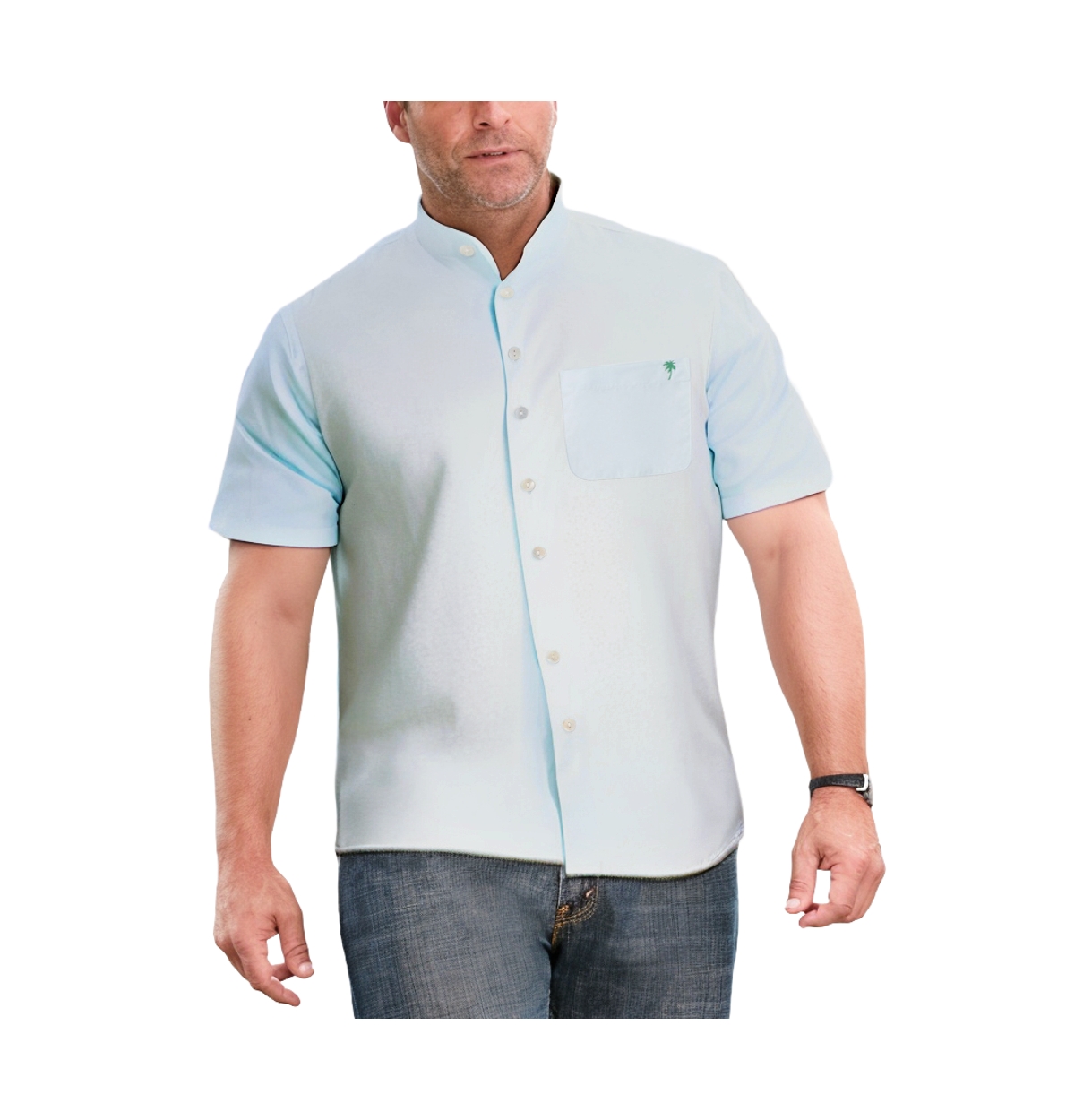 Big & Tall Short Sleeve Poplin Mandarin Collar Shirt - Ocean breeze