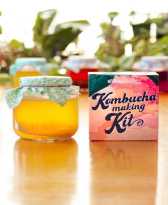 Kombucha Making Kit