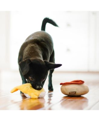 Barking Brunch Collection: Benny's Benedict