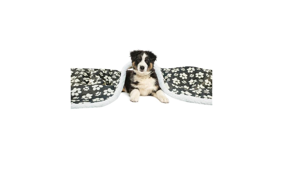 Ultra soft cozy Flannel Paw Print & Sherpa pet Blanket - Red