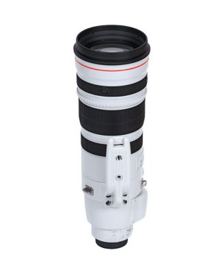 EF 200-400mm f/4L IS USM Extender 1.4x Lens