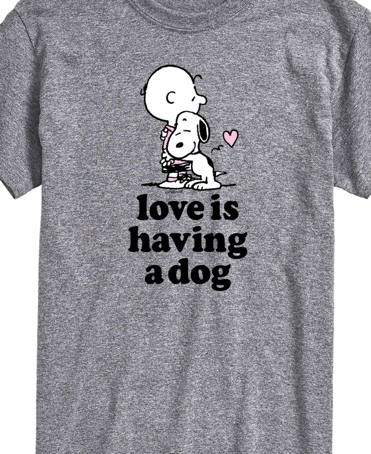 Airwaves Men's Peanuts Love Is Having A Dog Short Sleeve T-shirt In Gray