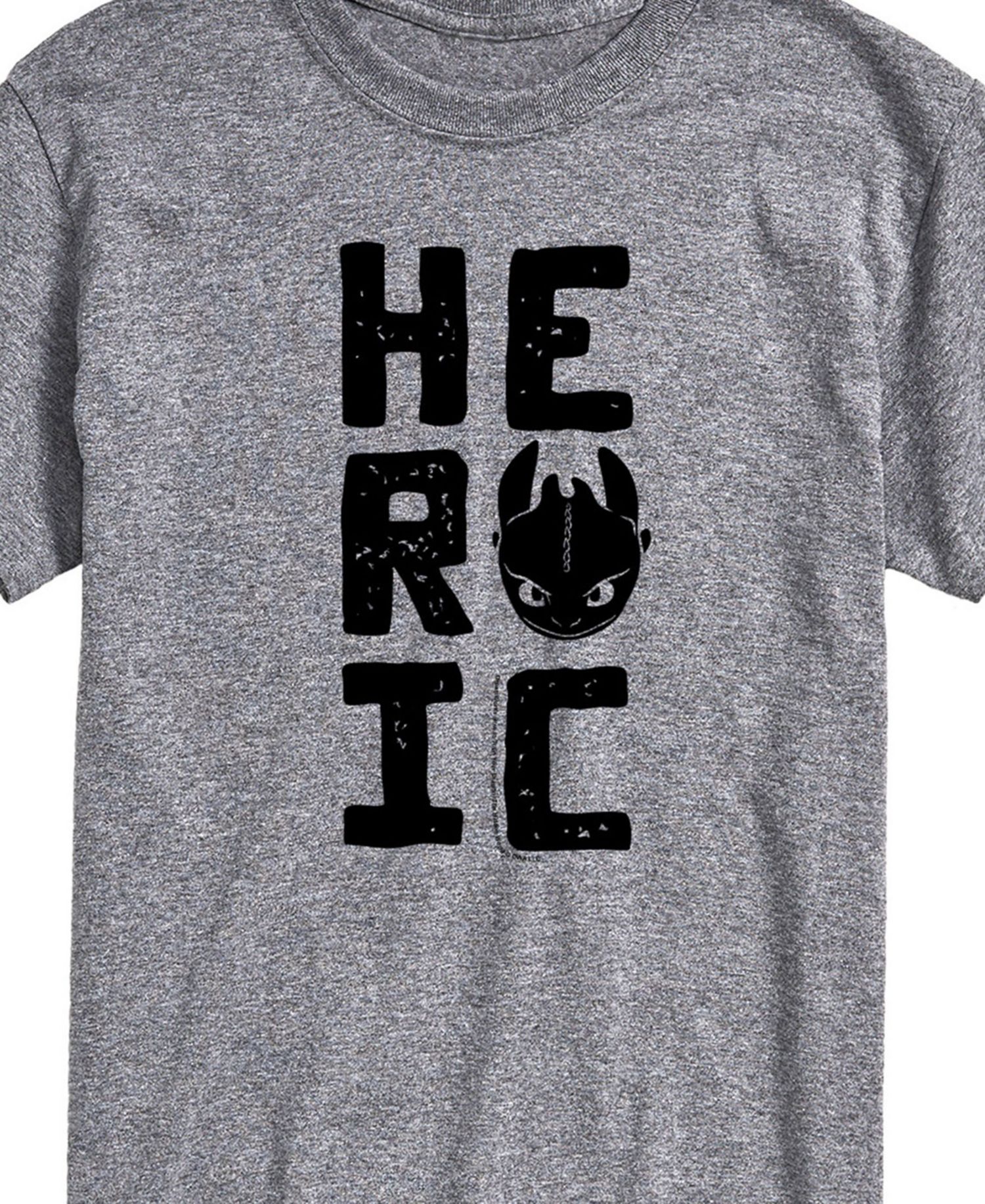 Men's How to Train Your Dragon Heroic Short Sleeve T-Shirt