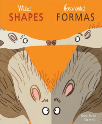 Wild Concepts Bilingual Board Books, Set of 4