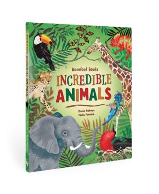 3rd Grade STEAM Book Bundle, Set of 4