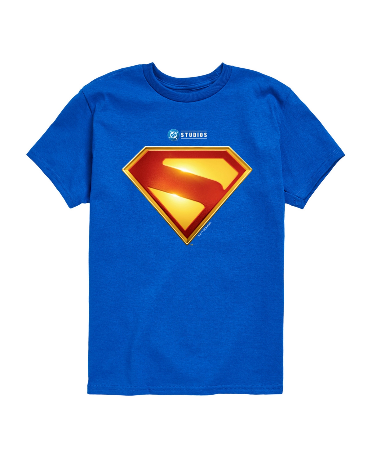 Hybrid Kids' Big Boys Superman Logo Sheild Graphic T-shirt In Blue