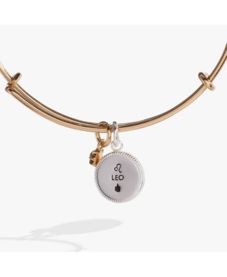Zodiac Bangle Bracelet Leo