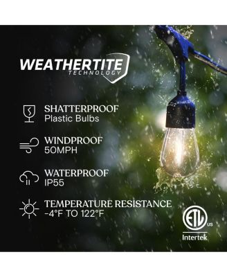 Ambience Pro 48 ft. Outdoor Solar LED String Lights with Warm White Hue