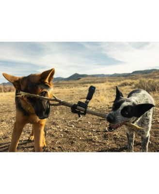 MAX 360 Action Camera, Black