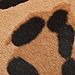 Tan Leopard Print Calf Hair