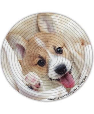 Spin Flip Puzzle: Puppies & Kittens 2L