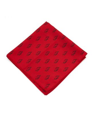Eagles Wings - Arkansas Razorbacks Kerchief Pocket Square