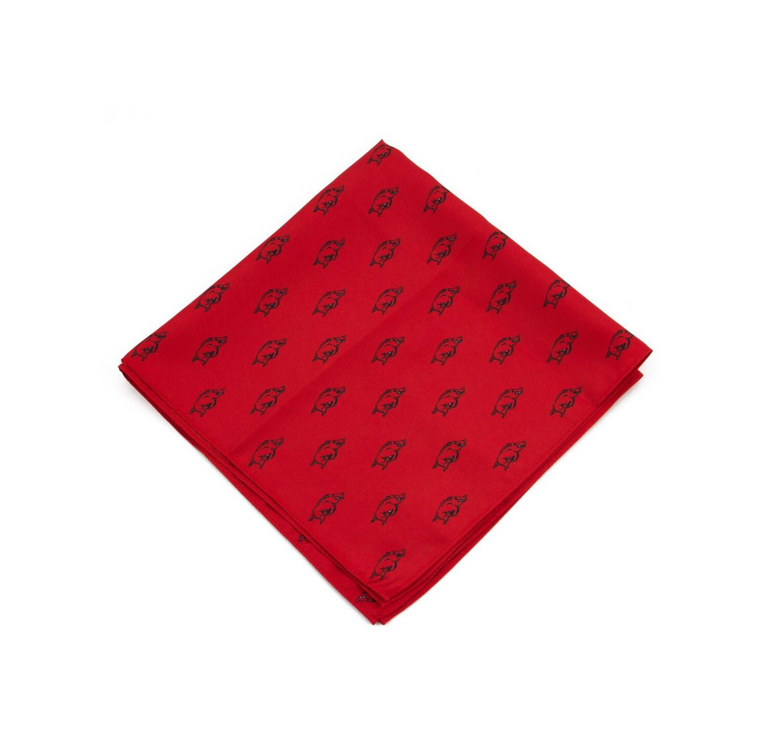 Arkansas Razorbacks Kerchief Pocket Square